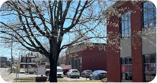 bouton-force-commerciale-off